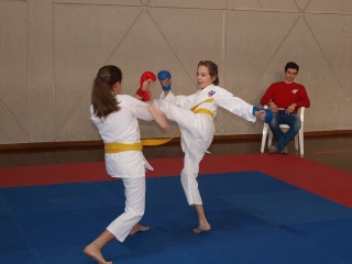 Image description